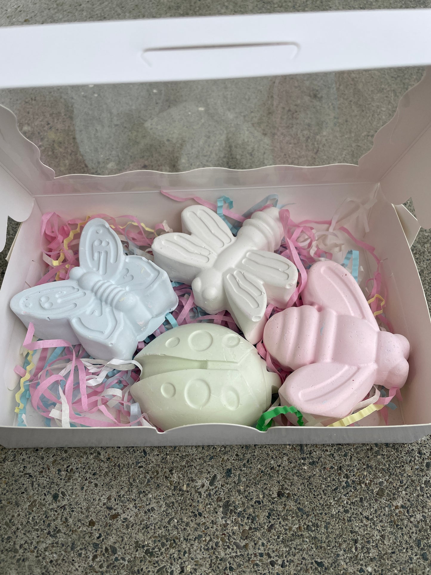 Bugs / Insects Chalk Set