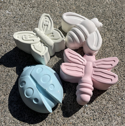 Bugs / Insects Chalk Set